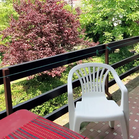 Holiday Gereben - Sio146 شيوفوك